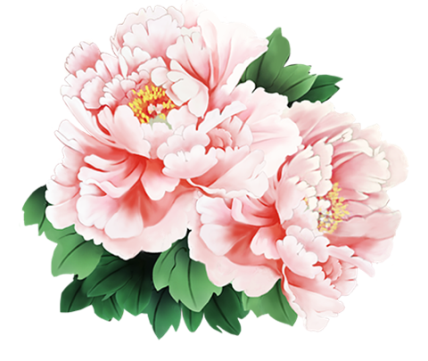牡丹转 messages sticker-5