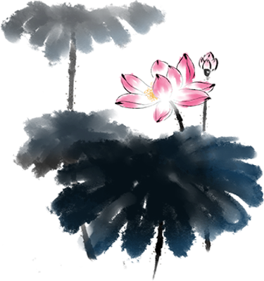 Lotus sticker messages sticker-8