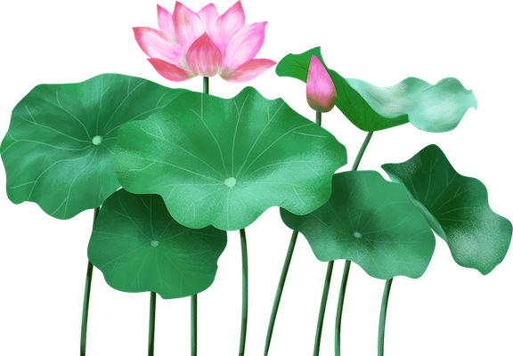 Lotus sticker messages sticker-4