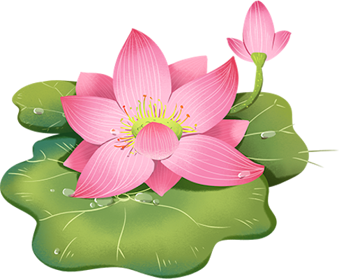 Lotus sticker messages sticker-11
