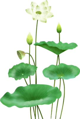 Lotus sticker messages sticker-7