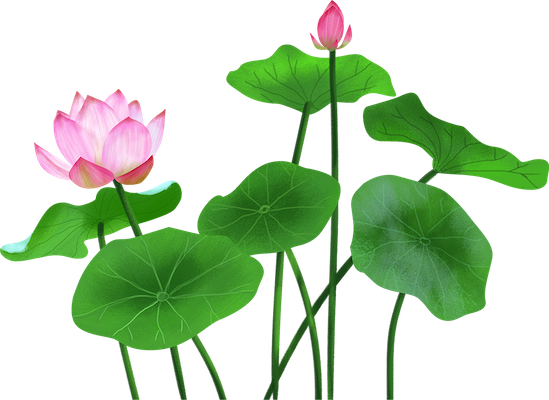 Lotus sticker messages sticker-3