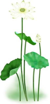 Lotus sticker messages sticker-6