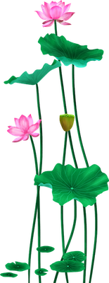 Lotus sticker messages sticker-5