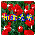 THEelderlysSticker messages sticker-1