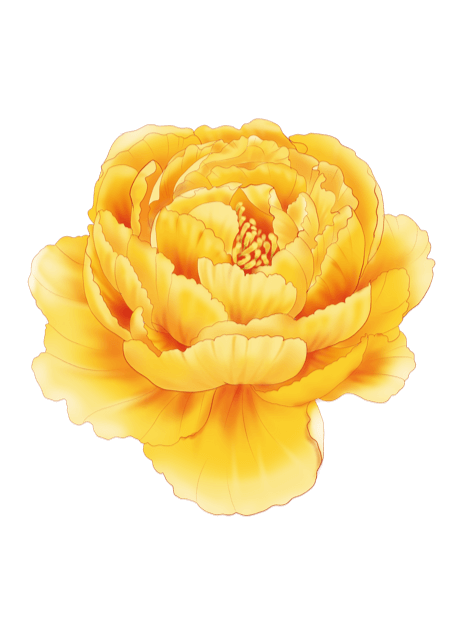 牡丹花-STICKER messages sticker-3
