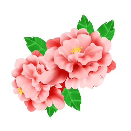 牡丹花-STICKER messages sticker-6