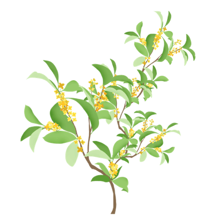 桂花转-sitcker messages sticker-4