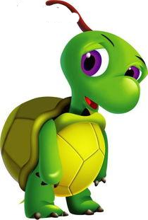 Little Turtle Life messages sticker-10