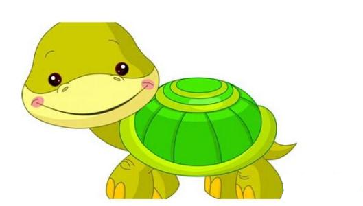Little Turtle Life messages sticker-8