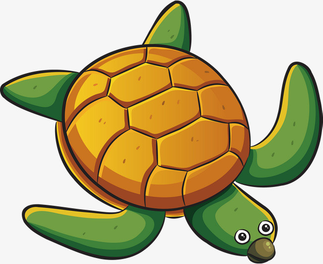 Little Turtle Life messages sticker-11