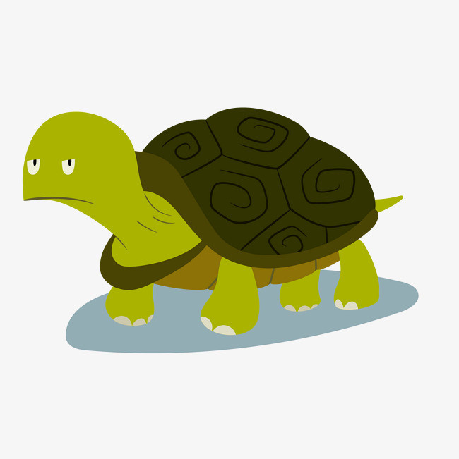 Little Turtle Life messages sticker-9