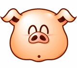 Funny Pig Head messages sticker-10