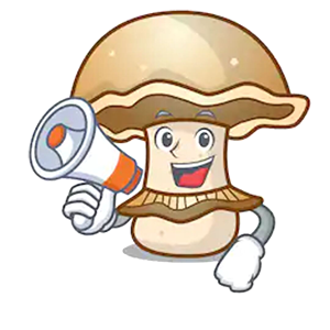 Mushroom Life sticker messages sticker-4