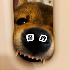 胡麻柴犬 messages sticker-6