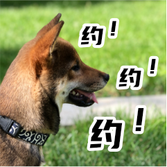 胡麻柴犬 messages sticker-9