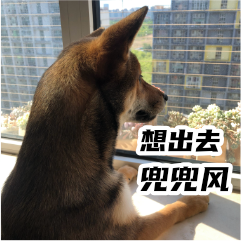 胡麻柴犬 messages sticker-3