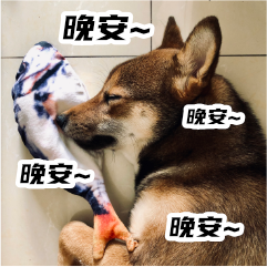 胡麻柴犬 messages sticker-11