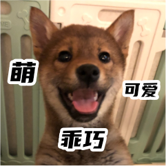胡麻柴犬 messages sticker-5
