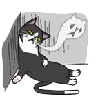 卡尔和菲比 messages sticker-11