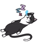 卡尔和菲比 messages sticker-7