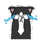 卡尔和菲比 messages sticker-8