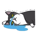 卡尔和菲比 messages sticker-10