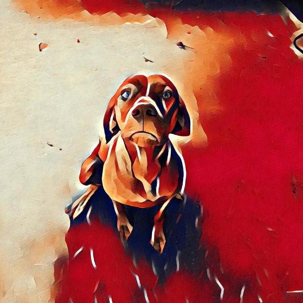 Vizsla Moji messages sticker-4