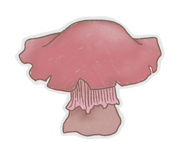 Mushrooms Stickers messages sticker-8