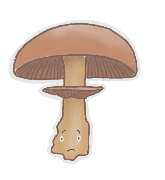 Mushrooms Stickers messages sticker-3