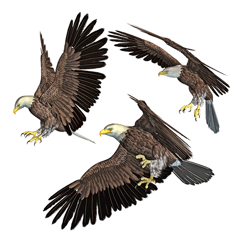 TIWEMO messages sticker-6