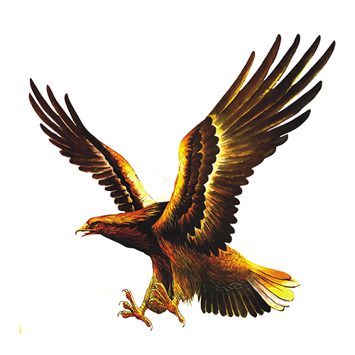 TIWEMO messages sticker-9