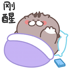 爱普猫EMOJI messages sticker-2