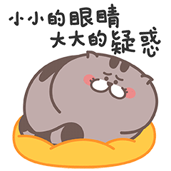 爱普猫EMOJI messages sticker-7