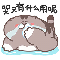 爱普猫EMOJI messages sticker-0