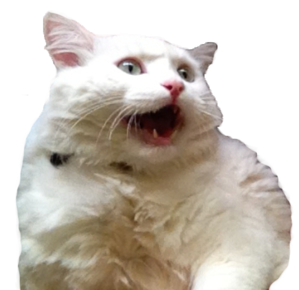 White Cat Stickers messages sticker-8