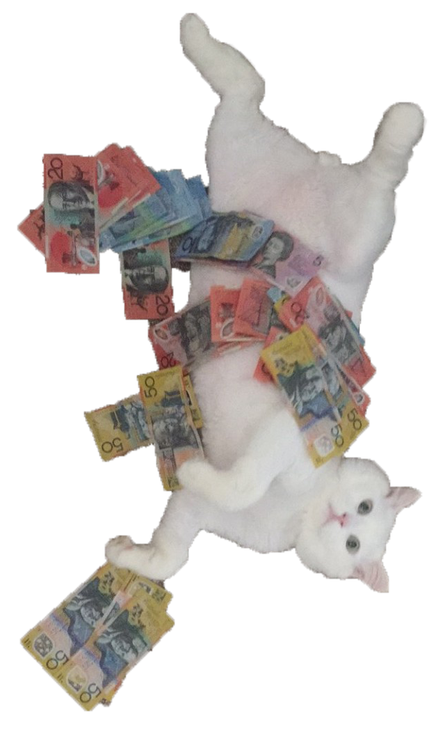 White Cat Stickers messages sticker-1