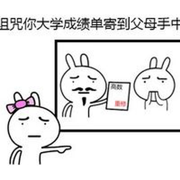 鸽奥与兔 messages sticker-2
