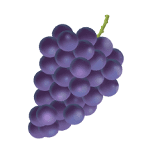 GrapePurple-Emoij messages sticker-0