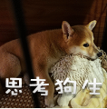 柴犬小鸡腿 messages sticker-4