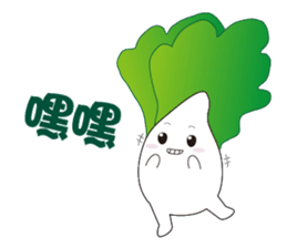 白菜肥寶 messages sticker-4