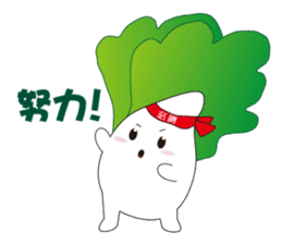 白菜肥寶 messages sticker-0