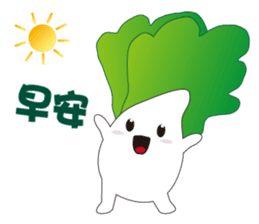 白菜肥寶 messages sticker-9
