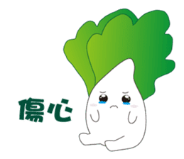 白菜肥寶 messages sticker-1