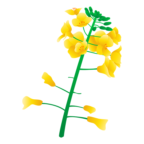 快乐花 messages sticker-10
