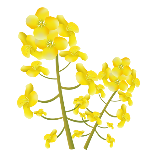 快乐花 messages sticker-2