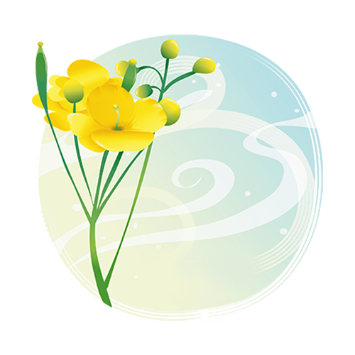 快乐花 messages sticker-1