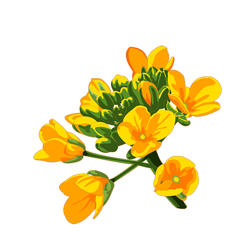 快乐花 messages sticker-4