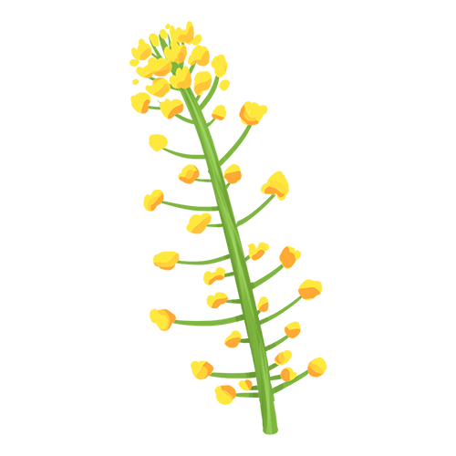快乐花 messages sticker-6