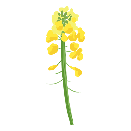 快乐花 messages sticker-9